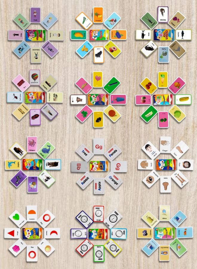 Educational flash card categories animals colors shapes